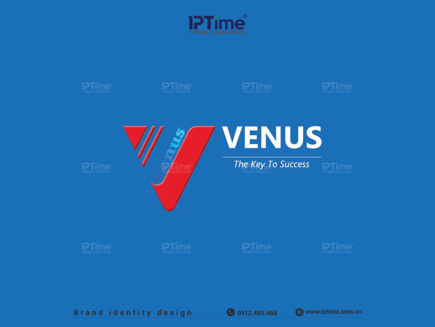 Thiết Kế Mẫu Profile Công Ty Venus