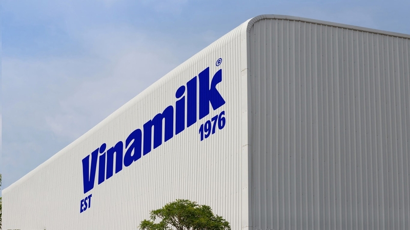 Logo Vinamilk - Hành Trình Để Lại Dấu Ấn Trên Thị Trường Tiêu Dùng