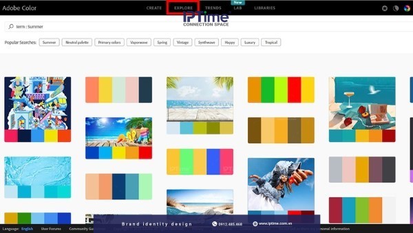 Adobe Color là gì? Hướng dẫn tạo và khám phá bảng màu độc đáo