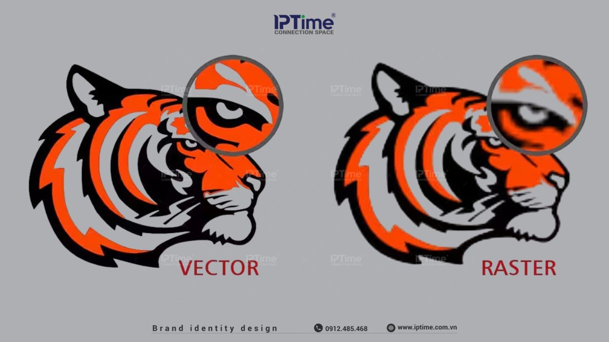 Vector Hóa Logo Là Gì? Vì Sao File Logo Của Bạn Cần Định Dạng Ai, Eps, Svg