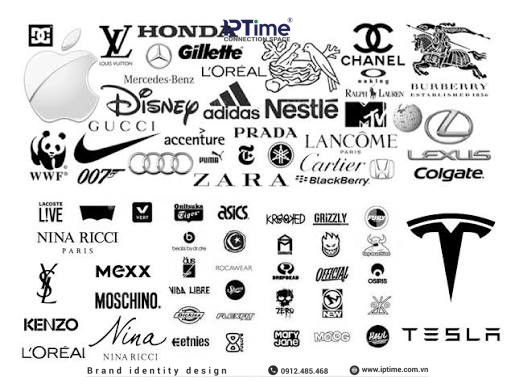Logo Đen Trắng Vs Logo Màu: Khi Nào Dùng Bản Nào Và Tại Sao Cần Cả Hai?